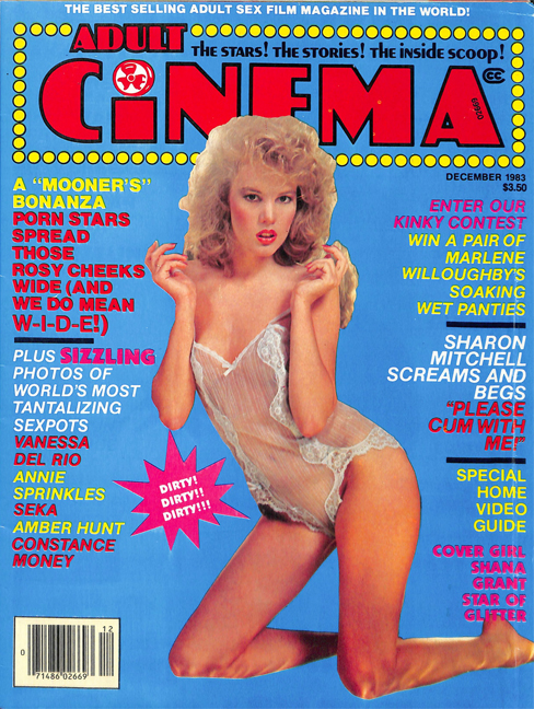Adult Cinema Review 90'S Adult Magazine - Vintage Magazines 16